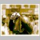 Handy_Fotograf.html