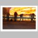 _DSC7276_640.html